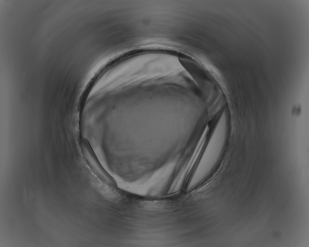 X0000088881376200707061400