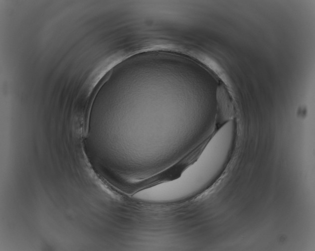 X0000088881377200707061400