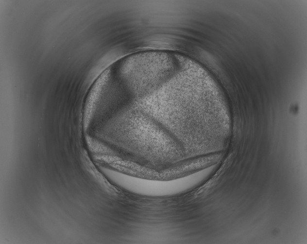 X0000088881378200707061400