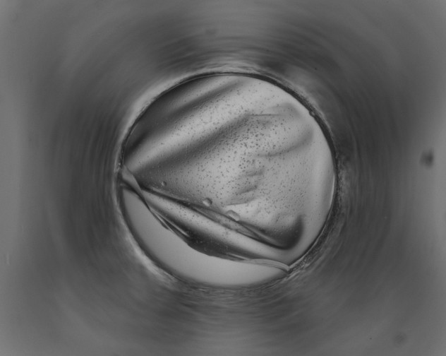 X0000088881379200707061400