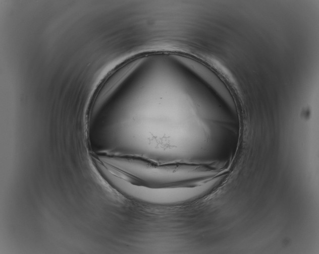X0000088881380200707061400