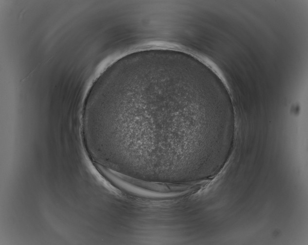 X0000088881381200707061400