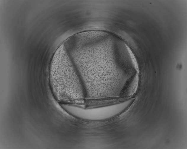 X0000088881382200707061400