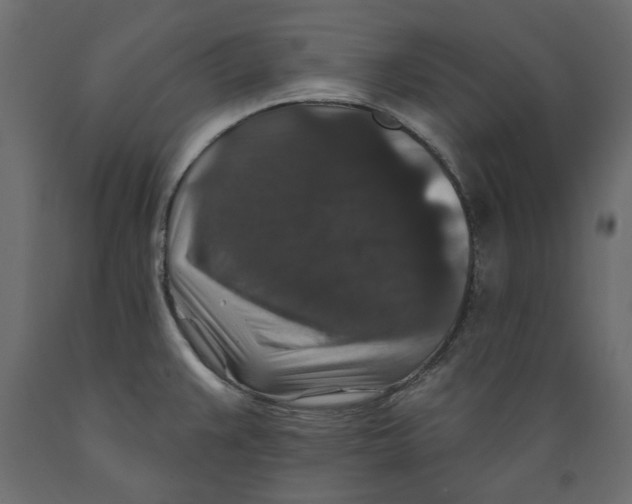X0000088881383200707061400