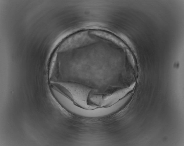 X0000088881384200707061400