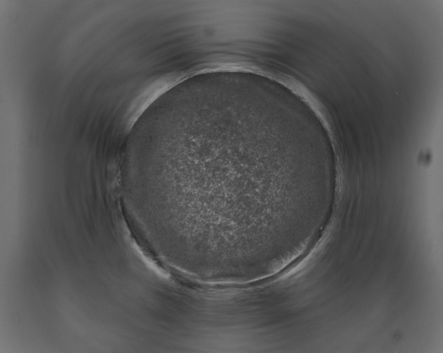 X0000088881385200707061400