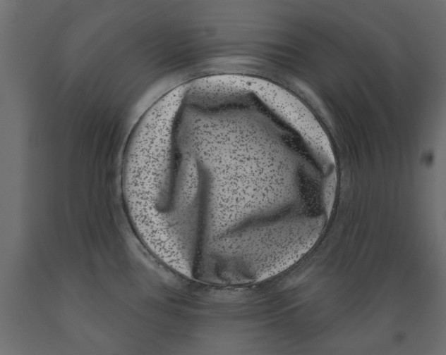 X0000088881386200707061400