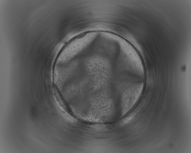X0000088881388200707061400