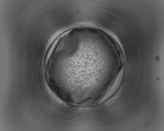X0000088881389200707061400