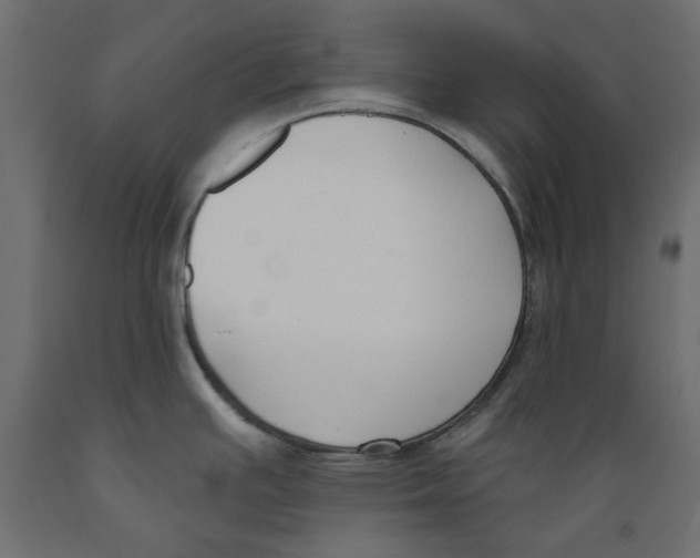 X0000088881391200707061400