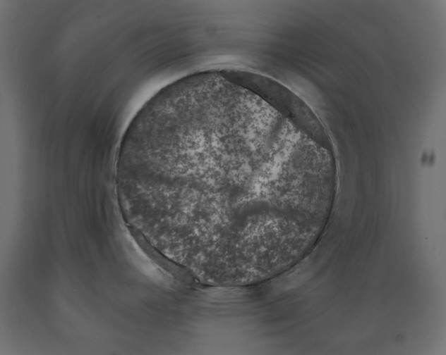 X0000088881392200707061400