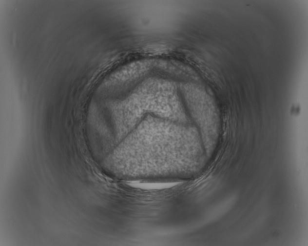X0000088881393200707061359