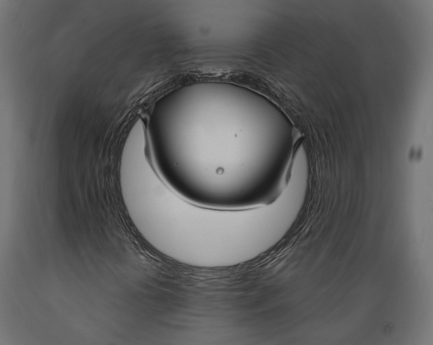 X0000088881394200707061359