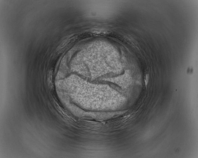 X0000088881396200707061359