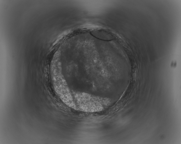 X0000088881397200707061359