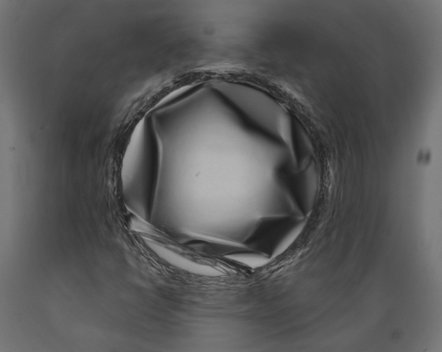 X0000088881398200707061359