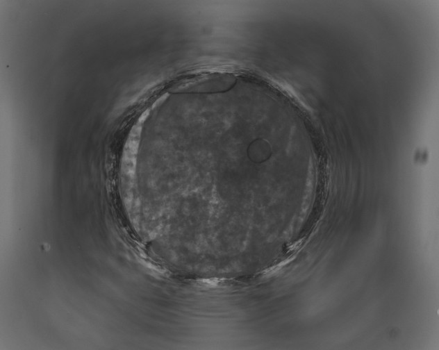 X0000088881399200707061359