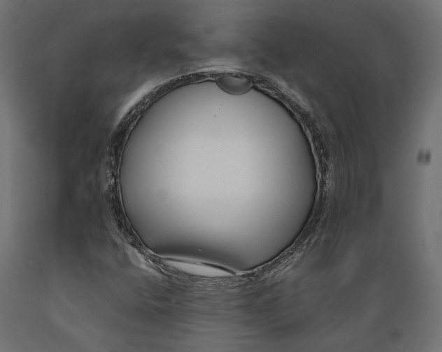 X0000088881400200707061359