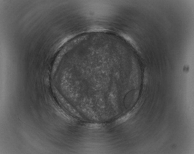 X0000088881401200707061359