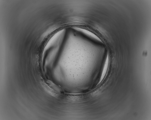 X0000088881402200707061359