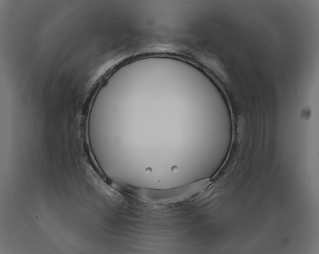 X0000088881404200707061359
