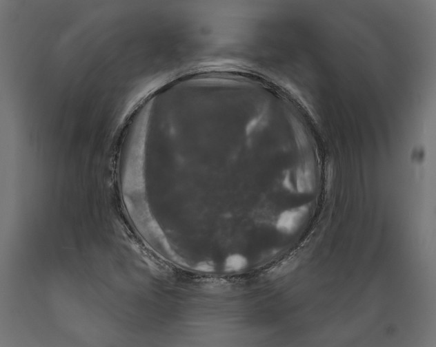 X0000088881405200707061359