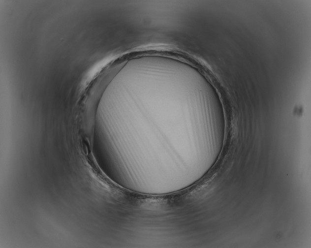X0000088881406200707061359