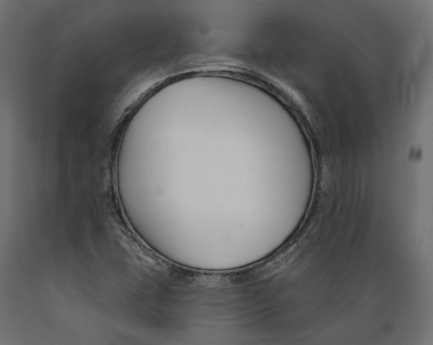 X0000088881407200707061359