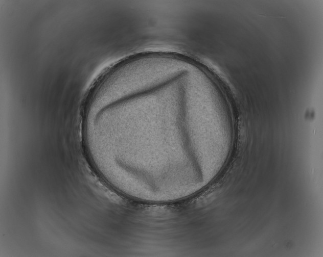 X0000088881408200707061359