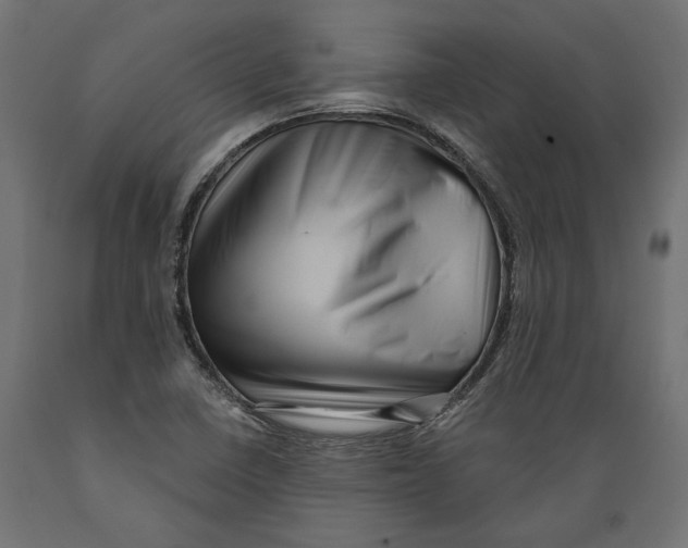 X0000088881410200707061359