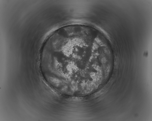 X0000088881411200707061359