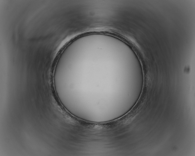 X0000088881412200707061359