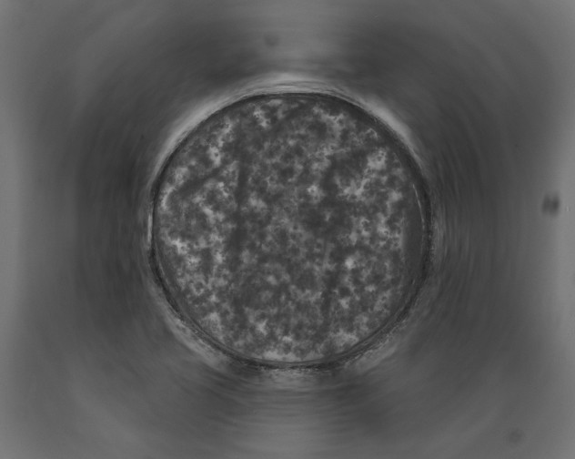 X0000088881413200707061359
