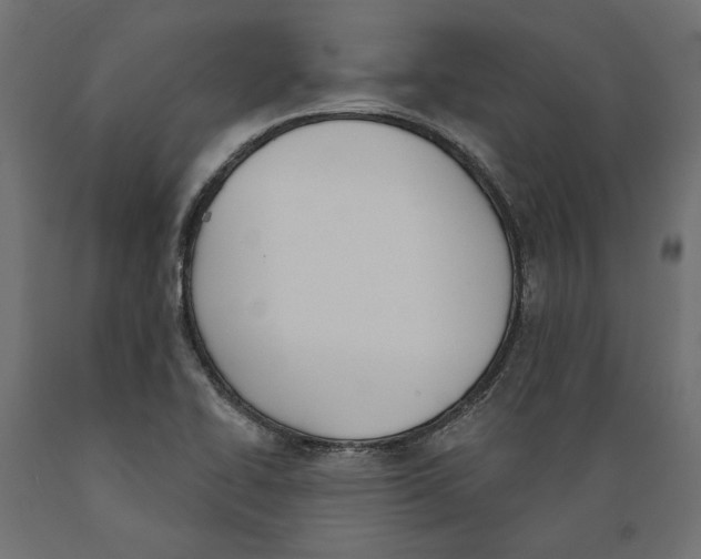 X0000088881414200707061359