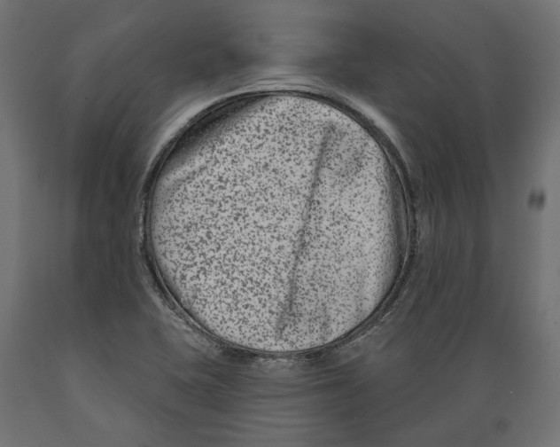 X0000088881415200707061359