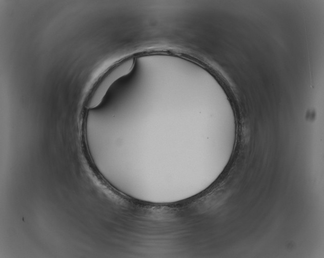 X0000088881416200707061359