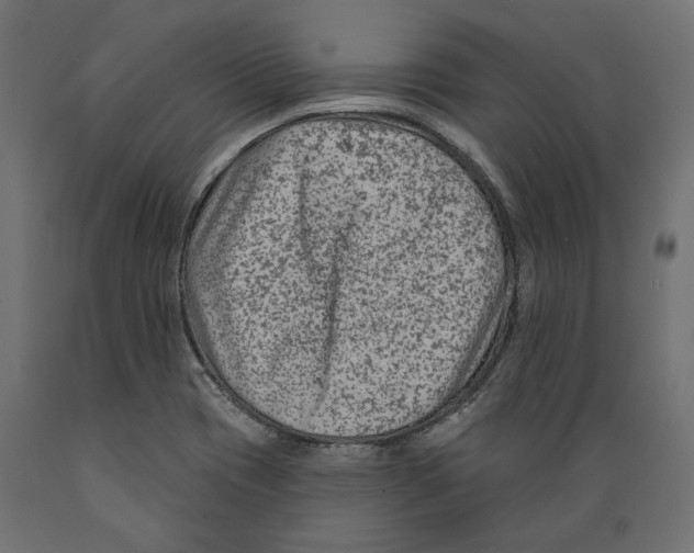 X0000088881417200707061359
