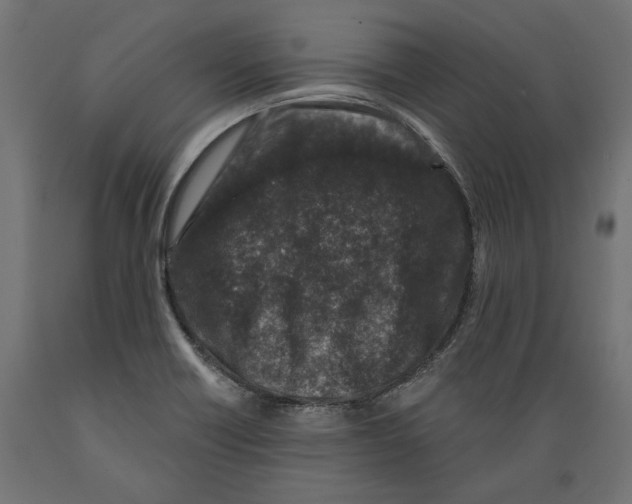 X0000088881418200707061359