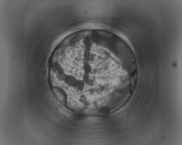 X0000088881419200707061359