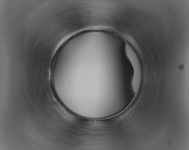 X0000088881420200707061359