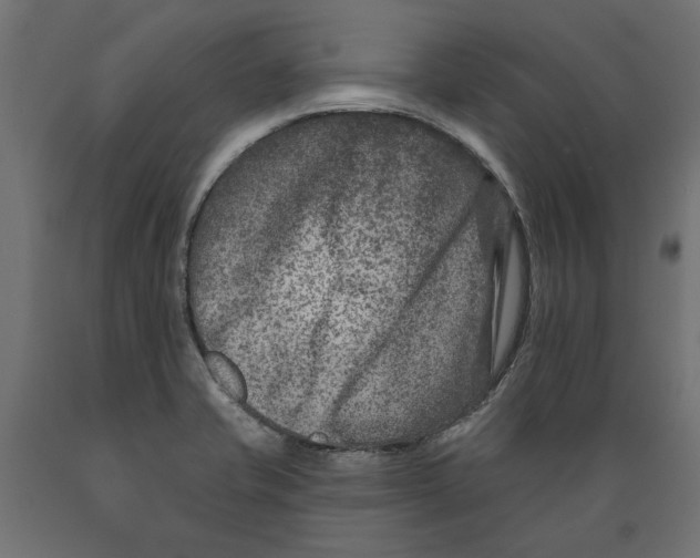 X0000088881421200707061359