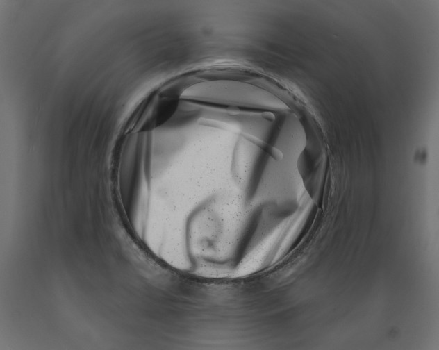 X0000088881422200707061359