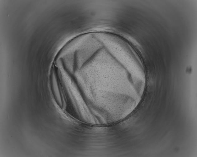X0000088881423200707061400