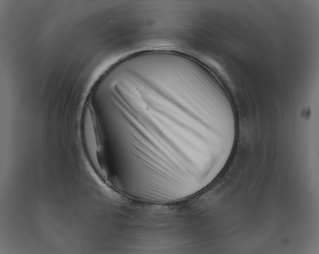 X0000088881424200707061400