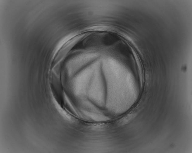 X0000088881426200707061400