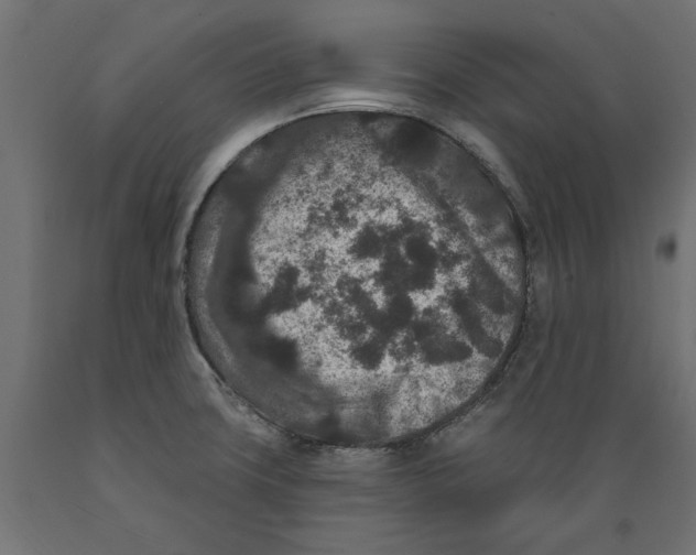 X0000088881427200707061400