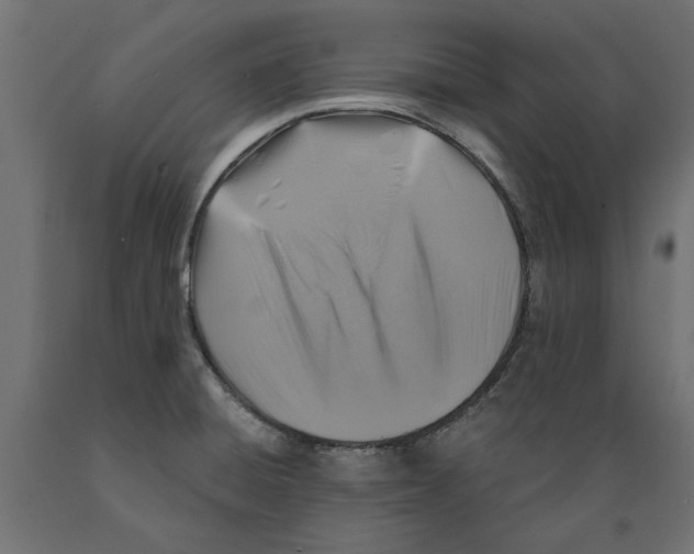 X0000088881428200707061400