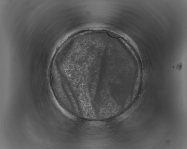 X0000088881429200707061400