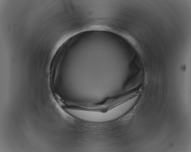 X0000088881430200707061400