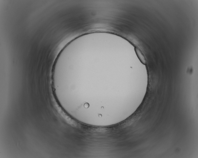 X0000088881431200707061400